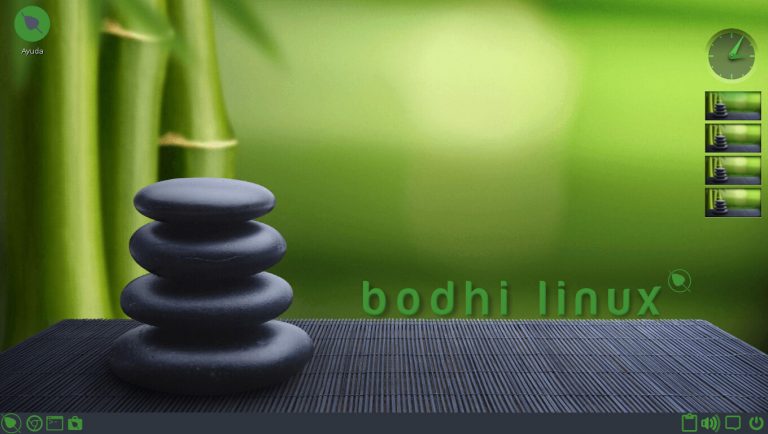 bodylinusx